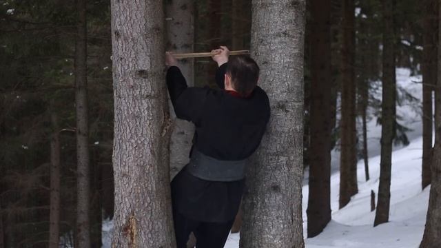 Вправи на розвиток сили в ситемі Хорс. Початковий рівень. смотреть онлайн