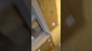 как снять грибок за 20 секунд