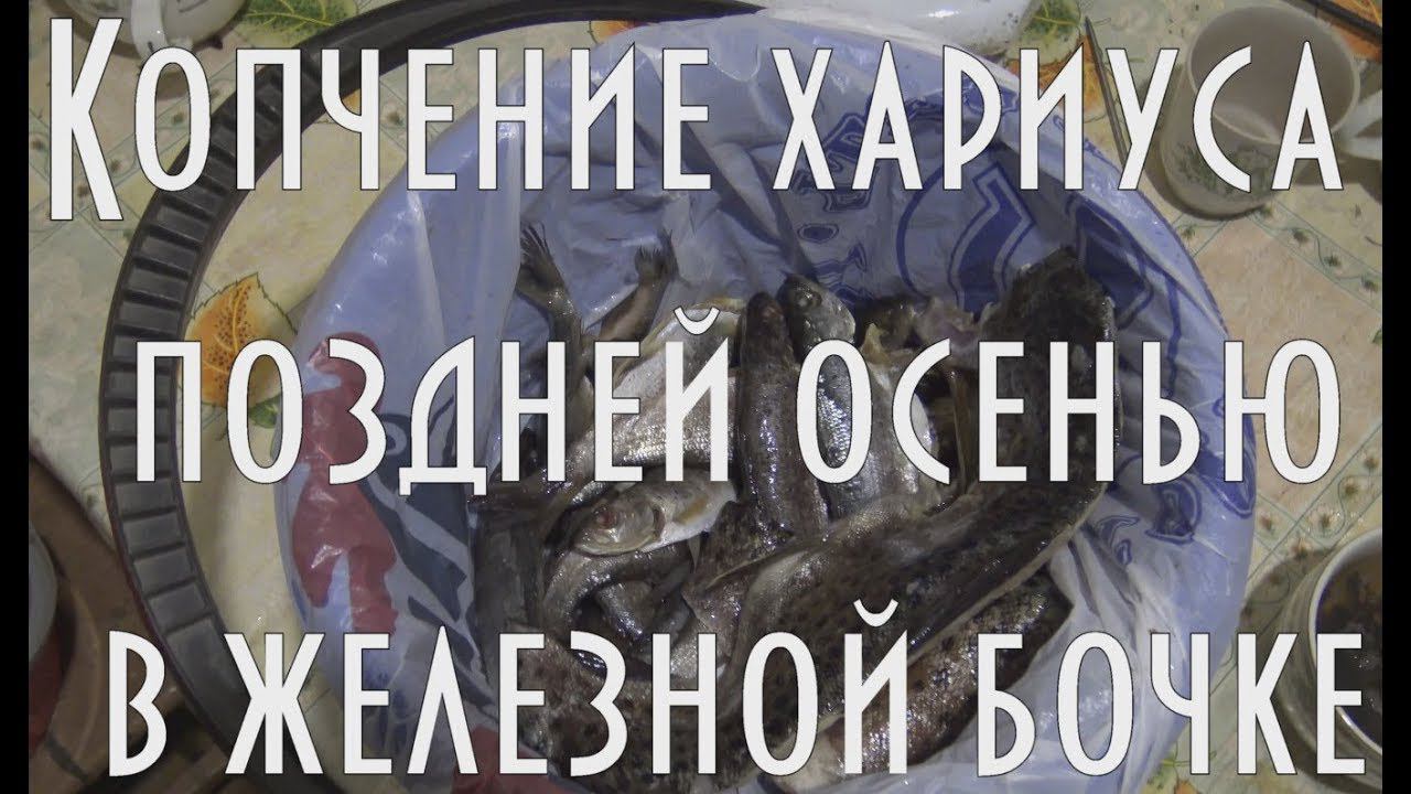 Холодное копчение хариуса и ленка, поздней осенью, в железной бочке
