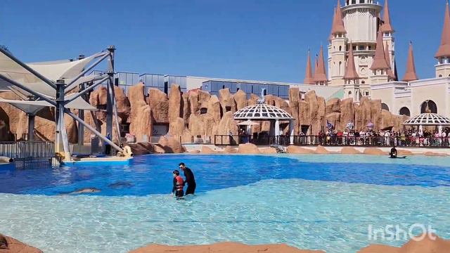 ШОУ С ДЕЛЬФИНАМИ В АНТАЛИИ🐬THE LAND OF LEGENDS💥#белек #отель #напмжванталию #анталия#турция