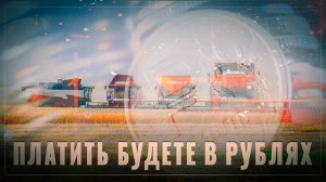 Платить будете в рублях: Россия заключает новую зерновую сделку