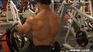 Бодибилдинг Фил Хит Мистер Олимпия (Phil Heath)