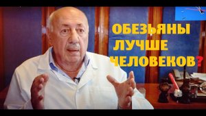 Обезьянья мораль