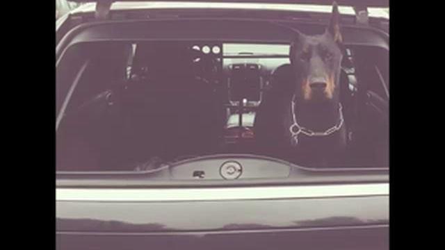 Три Кита - Вес смотреть онлайн