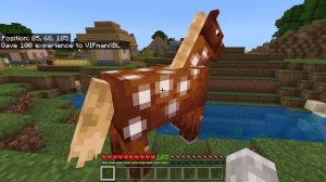 How To Use /xp Command In Minecraft PS4/Xbox/PE/Bedrock