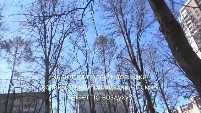 Площадка волейбола "под градусом" и с мячом в ветвях деревьев: косяки проектировки Восточного сквер смотреть онлайн