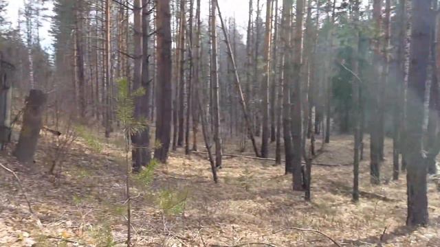 Разрушенный мост на реке Лух, весна 2015 смотреть онлайн