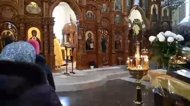 ☦️ 03.12.23 Божественная Литургия. Предпразднство Введения во храм Пресвятой Богородицы.