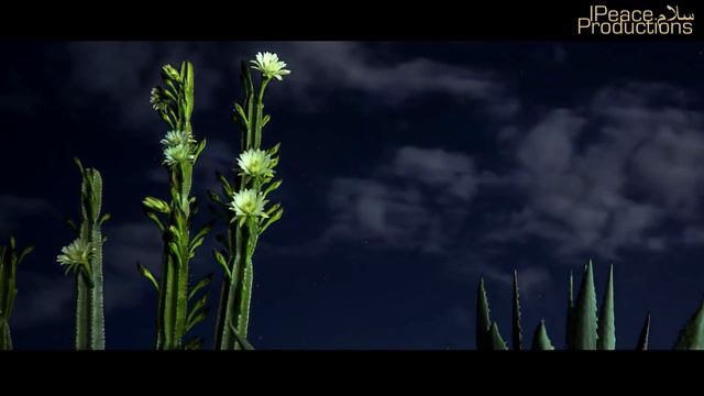 Allah Allah  Yusuf Al Ayoub