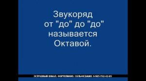 Какие бывают октавы и что это такое. Урок 3