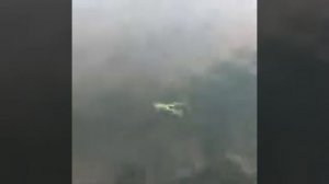 Video SHIRASU Clone Frog.