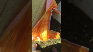 Тизол ЕвроВент Н обман потребителя