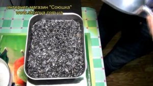 Масло из семечек подсолнуха с помощью масло пресса