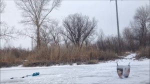 ловля на косынки зимой 2017