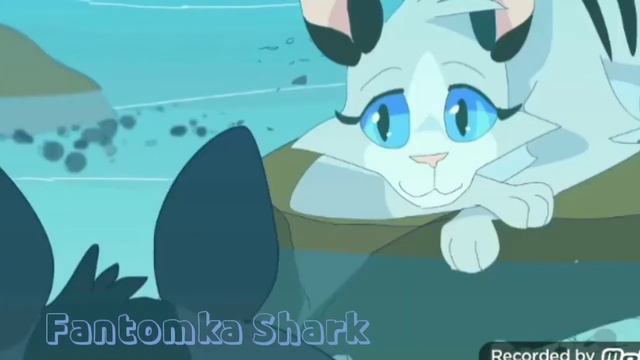 Крутобок и Серебрянка клип |Я Тебя Лав| коты Воители
