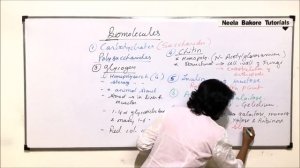 Biomolecules | NEET | Carbohydrates - Polysaccharides - Glycogen, Chitin, etc. | Neela Bakore