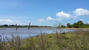 Udawalawe National Park