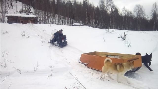 Стелс викинг. Бывает и такое смотреть онлайн
