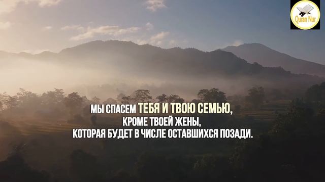 СУРА 29 "АЛЬ АНКАБУТ" (ПАУК). АЛЛАХ ИЗБАВИТ ОТ РАССЕЯННОСТИ, ДАРОВАВ СОСРЕДОТОЧЕННОСТЬ И СОБРАННОСТ