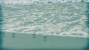 The Dartz - Ветряки (lyrics video)