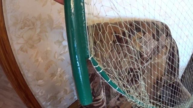 Снасть, которая ловит любую рыбу