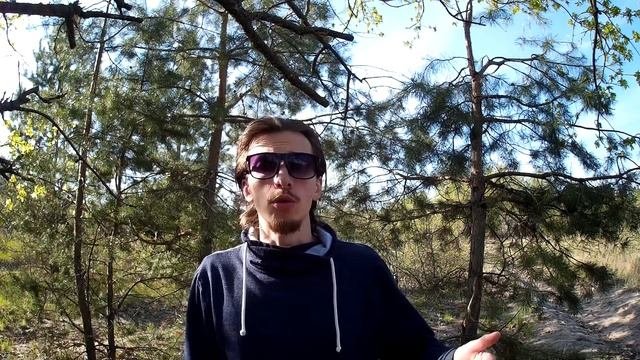 ЕСЛИ НЕ ДЕЛАТЬ ЭТОГО АМСТАФФ СТАНОВИТСЯ ОПАСНЫМ