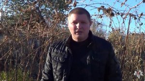 Саженцы клубники "Хоней" и "Русановка"