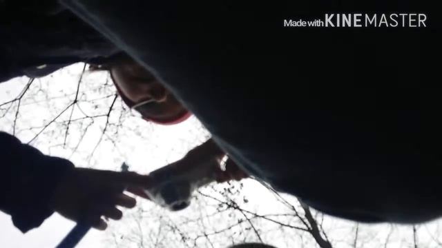 VLOG:эксперимент с кока-колой смотреть онлайн