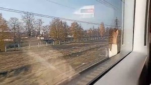 "Арена-марафон" 16 октября 2022 год г. Санкт-Петербург