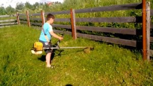 Кости траву линза касилкай