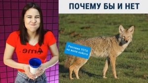 Самое смешное видео в мире. Попробуй не засмеяться с водой во рту челлендж, ч. 49