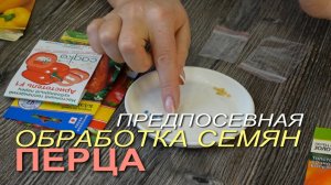ОБРАБОТКА СЕМЯН ПЕРЦА перед посевом! Советы от ЗЕЛЕНОГО ОГОРОДА!