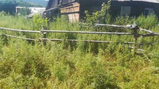 В благодарность подписчикам и объяснение для чего снимаем. смотреть онлайн