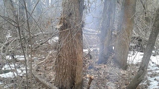 Постройка рыбацкой избы #1 смотреть онлайн