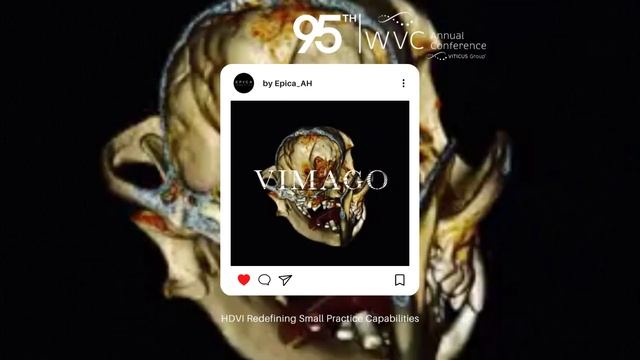 WVC 95th Annual Conference by Epica AH HDVI Series Canine Dental Skull смотреть онлайн