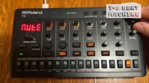 303DAY! 2024 Roland T-8 Performance