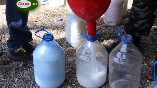 В Гагре продолжают обрабатывать пальмы от долгоносика смотреть онлайн