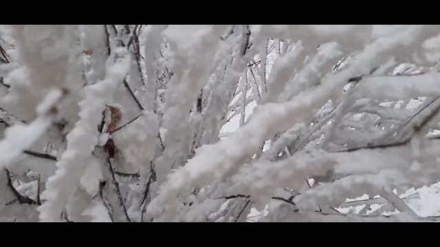 Изморозь (стихотворение В. Гаазова)