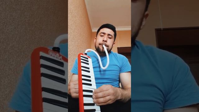 Farrux Saidov - "Bevafo" Ruslan Jamanazarov ijrosida
