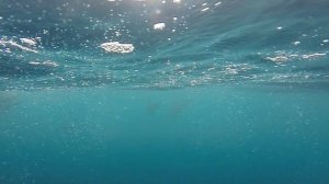 путишевствие1