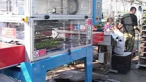 Егорьевский тепличный комбинат