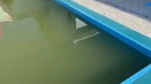 перекись водорода 60% для бассейна часть 1