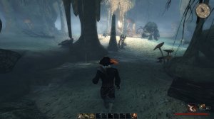 Судовой: Антигуа ► Risen 2 - Dark Waters #13