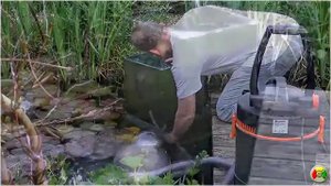 Аквариум наоборот.