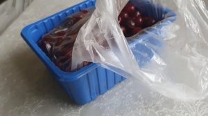 Вакуумируем урожай пылесосом