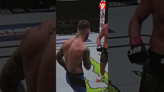 Коди Гарбрандт и его танцы 🕺 #shorts #mma #мма #ufc