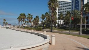 Clearwater Beach - ВЛЮБИЛИСЬ НАВСЕГДА❤