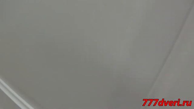 777dveri.ru Омск Эрмитаж-1 Vinyl Белый Стекло Мателюкс Галере межкомнатная дверь смотреть онлайн