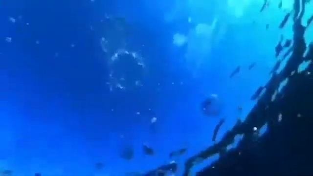 ??? Нежная Волшебная Инструментальная Музыка Успокаивает и Наводит на Глубокие Размышления!???