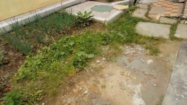 Забор из металлического штакетника. Дорого, но красиво. смотреть онлайн